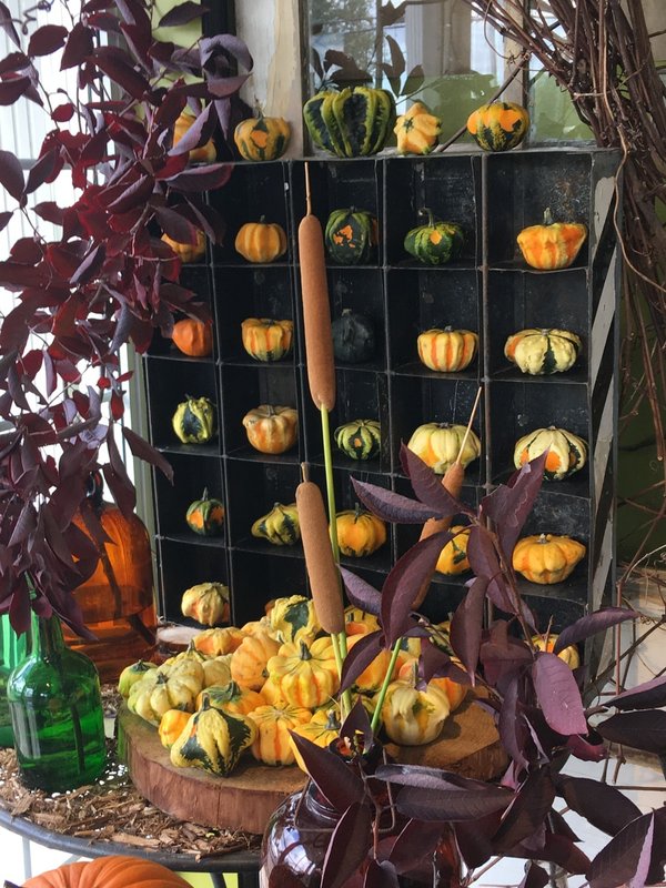 Quelle est la différence entre un fruit et un légume ?