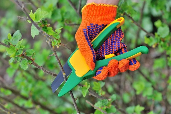 Pourquoi confier la création jardin à Ancenis à un professionnel ?