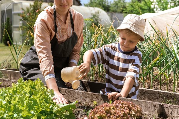 Conseil de jardinage : Aménager un potager bio, c'est possible !